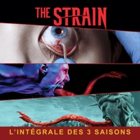 The Strain, l'intégrale des saisons 1 à 3 (VF) à télécharger 