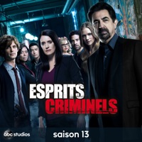 Esprits Criminels, Saison 13 à télécharger 