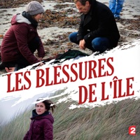 Les blessures de l'île à télécharger 