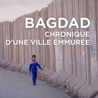 Bagdad, chronique d'une ville emmurée à télécharger 