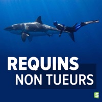 Requins non tueurs à télécharger 
