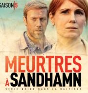 Meurtres à Sandhamn, Saison 5 (VOST) - Au coeur de l'été à télécharger 