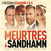 Meurtres à Sandhamn, Saisons 1 à 5 (VOST) à télécharger 