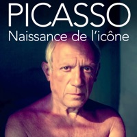 Picasso. Naissance de l'icône à télécharger 