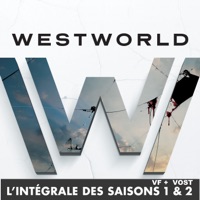 Westworld, l’intégrale des saisons 1 et 2 (VF & VOST) - HBO à télécharger 