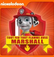 Paw Patrol - Tout feu tout flamme avec Marshall à télécharger 