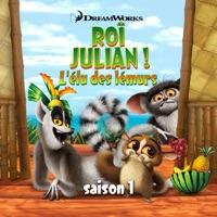 Roi Julian ! L'élu des lemurs, Saison 1 à télécharger 