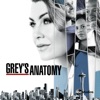 Télécharger Grey's Anatomy, Saison 15 (VOST)