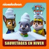 Télécharger Paw Patrol - Sauvetage en Hiver