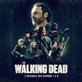 Acheter The Walking Dead, Saisons 1-8 (VOST) en DVD