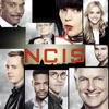 Télécharger NCIS, Saison 15