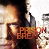 Télécharger Prison Break, Saison 3