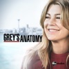 Télécharger Grey's Anatomy, Saison 15