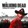 Télécharger The Walking Dead, Saison 9 (VOST)