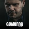 Télécharger Gomorra, Saison 4 (VF)