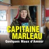 Télécharger Capitaine Marleau : Quelques maux d'amour