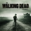 Télécharger The Walking Dead, Saison 2 (VOST)