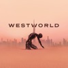 Acheter Westworld, Saison 3 (VOST) en DVD