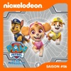Télécharger Paw Patrol, la Pat’ Patrouille, Saison 6, Partie 1