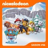 Télécharger Paw Patrol, la Pat’ Patrouille, Saison 6, Partie 2