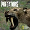 Télécharger Prehistoric Predators