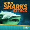 Télécharger When Sharks Attack, Season 3