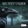Acheter Six Feet Under, Saison 4 (VOST) en DVD