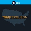 Télécharger America After Ferguson