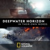 Télécharger Deepwater Horizon: In Their Own Words