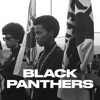 Télécharger Black Panthers