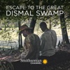 Télécharger Escape to the Great Dismal Swamp