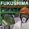 Télécharger Fukushima, des particules et des hommes