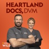 Télécharger Heartland Docs, DVM, Season 2