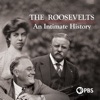 Télécharger Ken Burns: The Roosevelts - An Intimate History