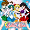 Télécharger Sailor Moon (English Dub), Season 1, Pt. 2