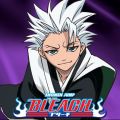 Télécharger Bleach, Season 19