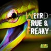 Télécharger Weird, True & Freaky, Season 4