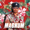 Acheter Magnum, Saison 1 en DVD