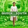 Acheter Queen of the South, Seasons 1-4 en DVD