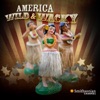 Télécharger America Wild and Wacky