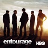 Télécharger Entourage, Saison 8