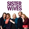 Télécharger Sister Wives, Season 11