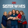 Télécharger Sister Wives, Season 9