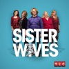 Télécharger Sister Wives, Season 6