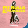 Télécharger Pit Bulls and Parolees, Season 18
