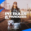 Télécharger Pit Bulls and Parolees, Season 17