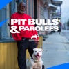 Télécharger Pit Bulls and Parolees, Season 15