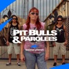 Télécharger Pit Bulls and Parolees, Season 14