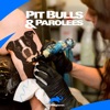 Télécharger Pit Bulls and Parolees, Season 2