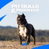 Télécharger Pit Bulls and Parolees, Season 1